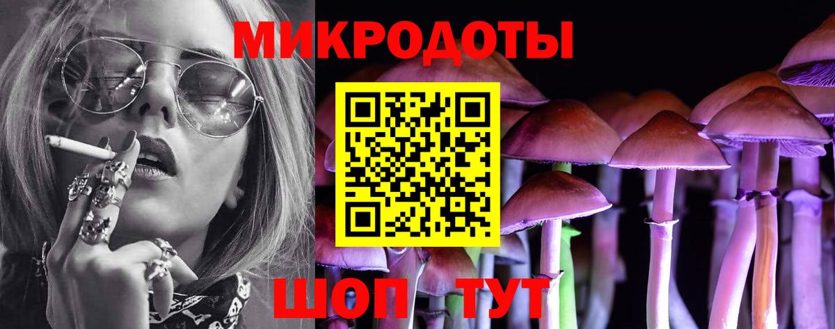 Галлюциногенные грибы прущие грибы  Вход с VPN  Камышин 