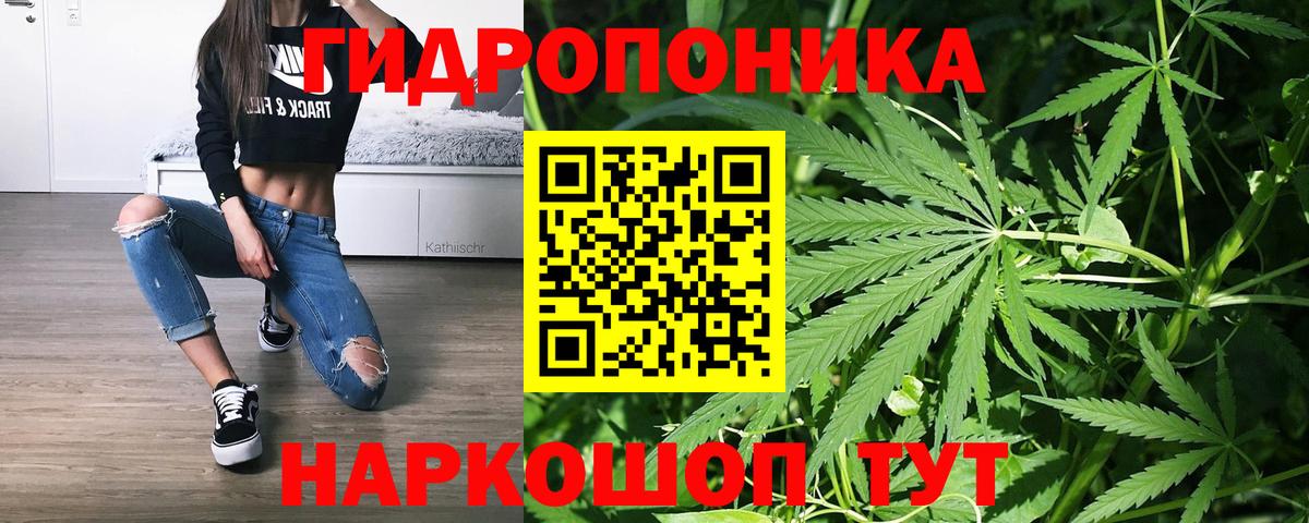 Каннабис MAZAR Камышин